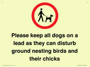 please-keep-all-dogs-on-a-lead-as-they-can-disturb-ground-nesting-birds-and-thei~